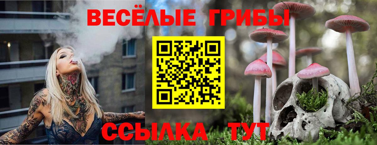 Белово  Псилоцибиновые грибы Psilocybine cubensis  Вход с VPN  Галлюциногенные грибы Psilocybe 