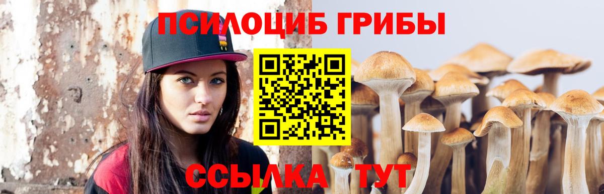 Псилоцибиновые грибы прущие грибы Белово